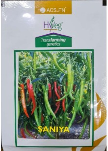 Saniya Chilli